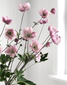 a vase filled with pink flowers next to a window