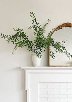 there is a mirror and some plants on the mantle in front of the fire place