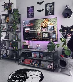 a black cat sitting on top of a shelf in front of a flat screen tv