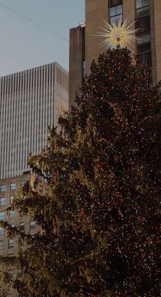 a large christmas tree in front of tall buildings