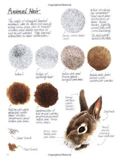 an animal's fur is shown in different colors and sizes, including the rabbit