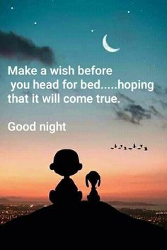 a person sitting on top of a hill next to a night sky with the words make a wish before you head for bed hoping that it will come true good night