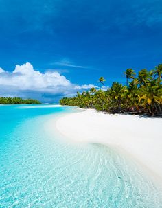 the beach is surrounded by palm trees and clear blue water, with white sand in the foreground