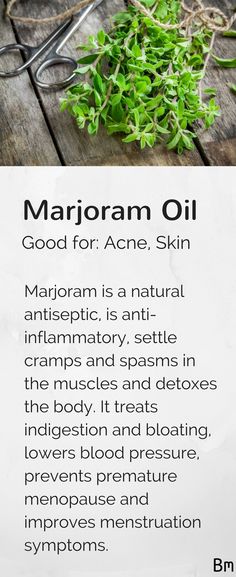 Marjoram essential oil is a natural antiseptic, is anti-inflammatory, it settles cramps and spasms, and detoxes the body. When you moisturise your body with a lotion after showering, try adding a drop of marjoram to improve the condition of your skin. Learn more about marjoram and other essential oils in this complete guide! Just click on the pin above :D Marjoram Essential Oil, Making Essential Oils, Essential Oils Guide, Aromatherapy Blends, Natural Health Care, Clearer Skin, Raw Cacao, Ginkgo Biloba, Marjoram