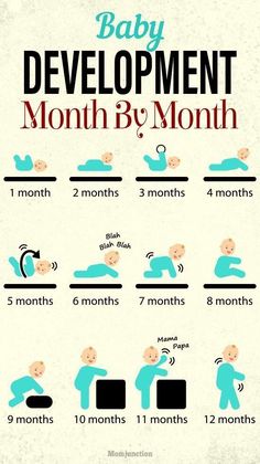 the baby development chart for month by month