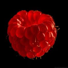 a bunch of red berries on a black background