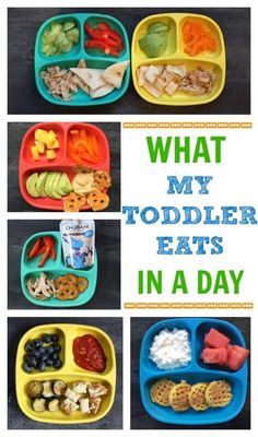 what my toddler eats in a day is great for lunches and snacking