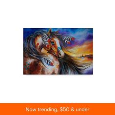 a painting of a horse with feathers on it's head and the sky in the background