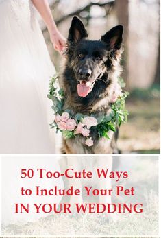 a dog wearing a flower collar with the words 50 too cute ways to include your pet in your wedding