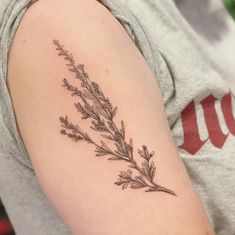 image of an upper arm with a sagebrush sprig tattoo Sage Brush Tattoo, Washington Tattoo, Sage Brush, Twin Tattoos, Cowboy Tattoos, Fern Tattoo, Brush Tattoo, Hiking Tattoo, Scar Tattoo