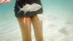 a person standing in the water with fish swimming around them and holding their hands out