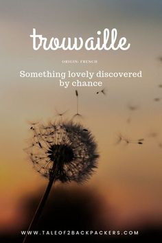 a dandelion blowing in the wind with text that reads, trowalle something lovelyly discovered by chance