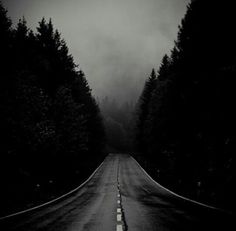 an empty road surrounded by trees in the dark