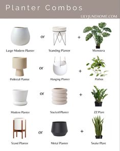 different types of planters and their names