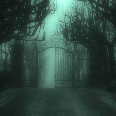 an eerie gate in the middle of a dark forest with trees on either side and light at the end