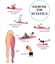 an exercise for sciatica poster shows the various exercises used by people in sports