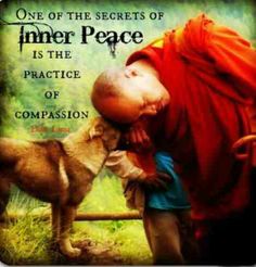 a man kissing a dog on the nose with a quote above it that reads, one of the secrets of inner peace is the practice of comparison