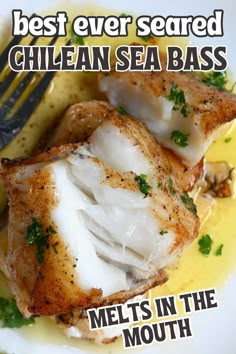 Flaked pan-seared chilean sea bass on a plate with a fork Chilean Sea Bass Chimichurri, Breaded Sea Bass Recipes, Sea Bass Seasoning, Pan Fried Sea Bass Recipes, Sauce For Sea Bass Recipe, Best Sea Bass Recipe, Chilean Sea Bass Recipe Grilled