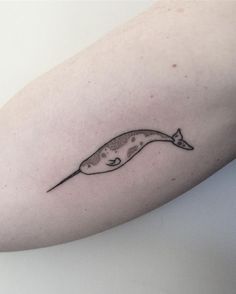 a tattoo on the arm of a person with a long, pointed nose and tail