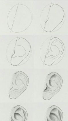 several different types of ear shapes and their corresponding parts are shown in this drawing lesson