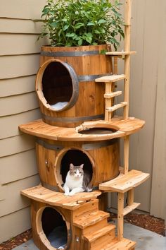 a cat sitting in a wooden barrel like house with stairs leading up to the top