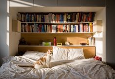 a cat sitting on top of a bed next to a book shelf