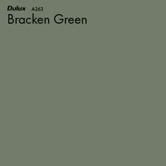 the back cover of an album with black and white text on it, which reads bracken green