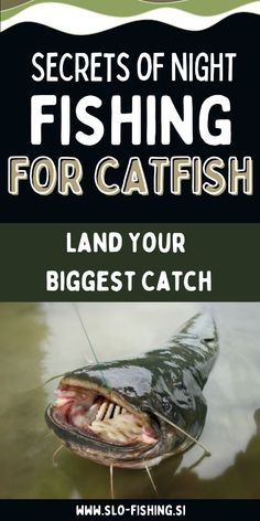 the cover of secrets of night fishing for catfish land your biggest catch