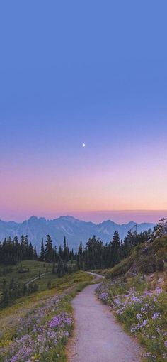 a path leading to the top of a hill with mountains in the background at sunset