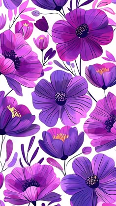 purple flowers on a white background with pink and purple petals in the center, as well as yellow centers