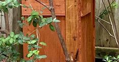 a cat sitting on top of a wooden bench next to a tree and fenced in area