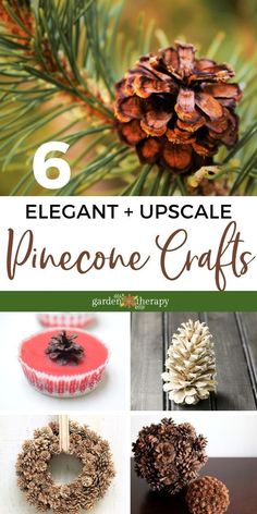 pinecone crafts with text overlay that reads 6 elegant and upcycle pine cone crafts