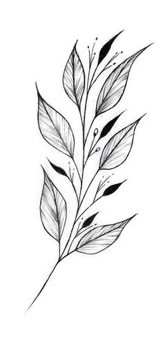 a black and white drawing of leaves