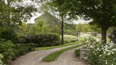 a dirt road that is surrounded by trees and flowers