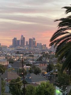 the city skyline is lit up at dusk with palm trees in foreground and pink sky