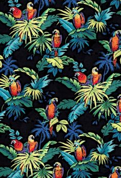 a black background with colorful parrots and palm leaves on it's sides,