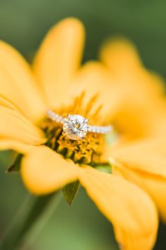 a yellow flower with a diamond ring on it