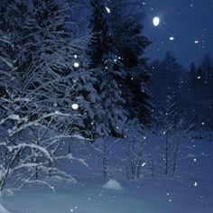 the night sky is full of stars and snow as well as some trees in the foreground