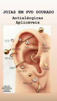 an ear with different types of piercings on the inside of it and labeled in spanish