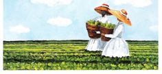 two women in white dresses and straw hats are walking through a field with green plants