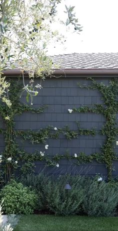 an outdoor garden with white flowers and greenery on the side of a gray building