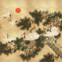 A flock of red headed cranes gather atop a pine tree. Influenced by ancient Japanese Ukiyoe art. This design is set against a rich metallic gold background. Please note This mural is 4m in width and 2.8m in height. Seen here in the Gold colourway. Please request sample for true colour match. Ukiyoe Art, Chinoiserie Wallpaper, Mural Design, Wallpaper Direct, Gold Background, Wallpaper Calculator, Wallpaper Collection, Wallpaper Online, Pine Tree