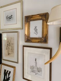 several framed pictures hang on the wall next to an elephant's tusk and lamp