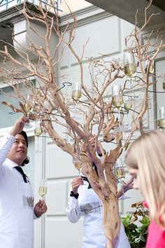 a man and woman standing next to a tree with wine glasses in it's branches