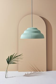 a vase with a plant in it next to a light colored wall and ceiling fixture