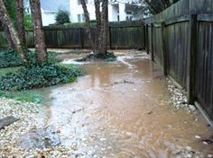 a flooded backyard area with trees and rocks on the ground in front of a wooden fence