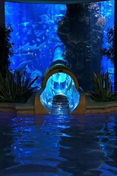 the inside of an aquarium with water flowing from it's sides and plants growing on either side