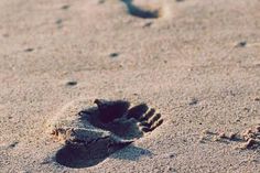 an animal's paw prints in the sand