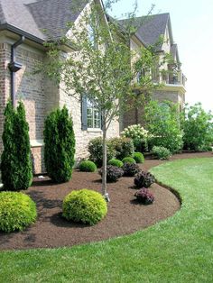 the front yard is clean and ready for us to use