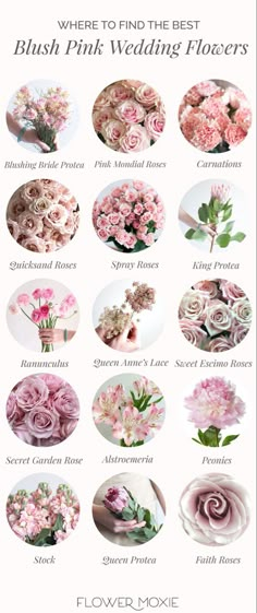 a bunch of pink flowers that are in different sizes and colors with the words, where to find the best blush pink wedding flowers?